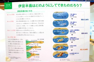 展示パネル： 伊豆半島はどのようにしてできたのだろう？