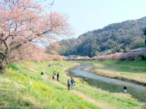 青野川20160227_2