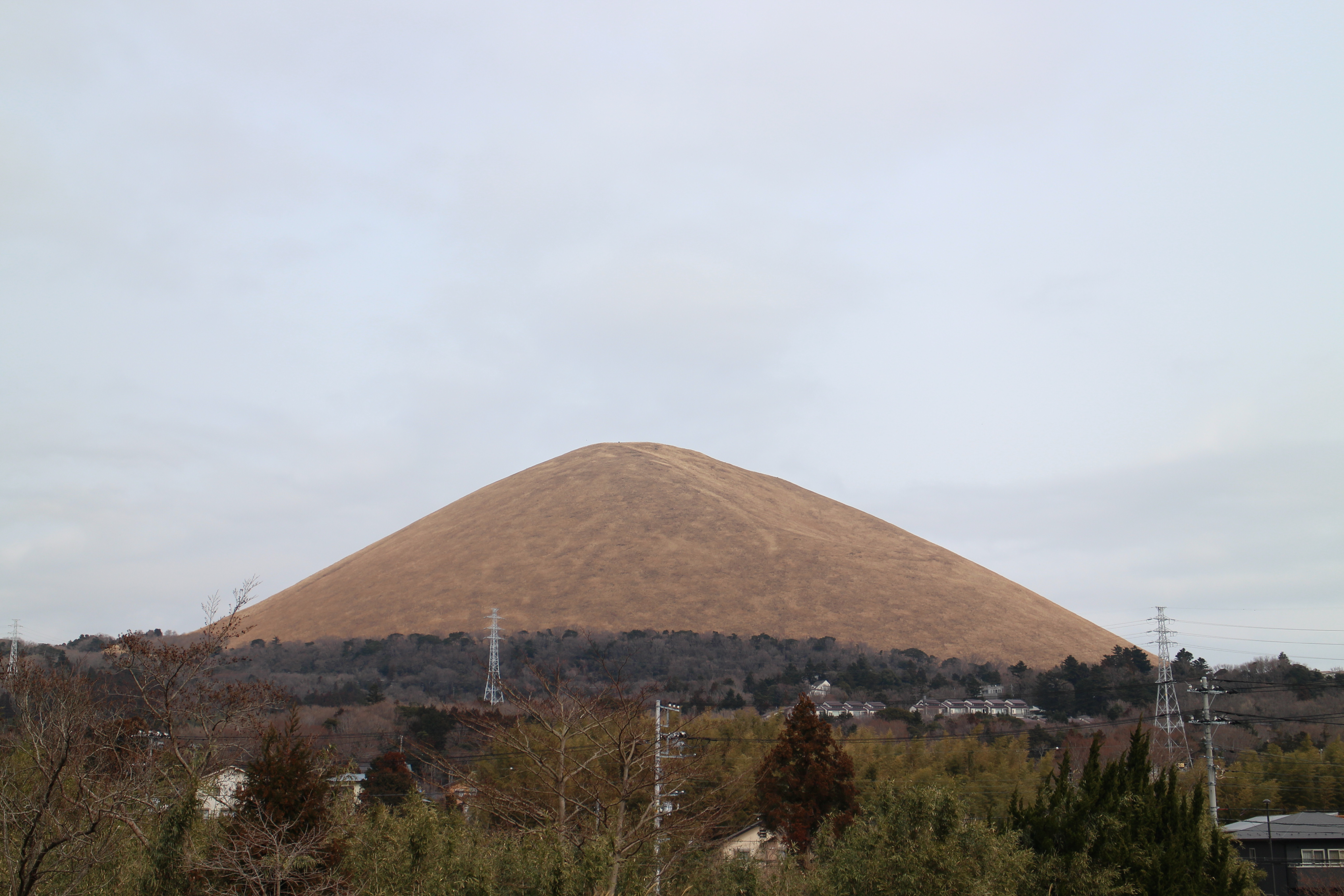 室山 山焼き 大