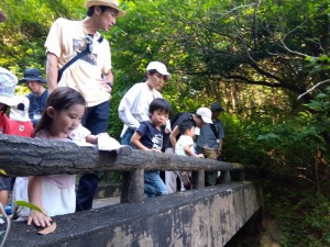 IMG_2025-06-28-16-00-46-667