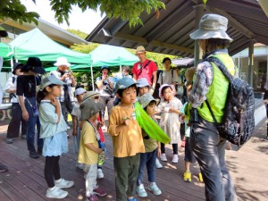 IMG_2025-06-29-09-33-29-897