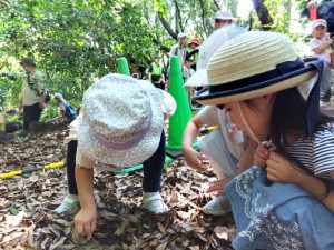 IMG_2025-06-29-09-40-59-944