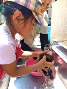 IMG_2025-06-29-10-27-00-615