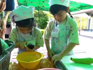 IMG_2025-06-29-10-30-58-256
