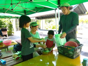 IMG_2025-06-29-11-13-08-899