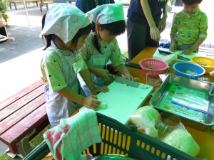 IMG_2025-06-29-11-28-09-324