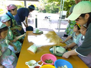 IMG_2025-06-29-11-54-45-278