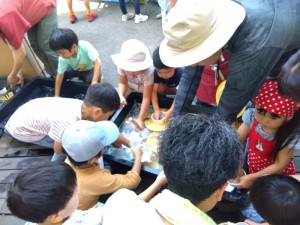 IMG_2025-06-29-13-22-20-552