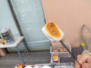 たきびチャレンジ (39)