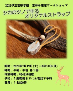 夏限定アクティビティ