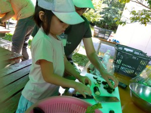 IMG_2025-09-21-10-36-10-824