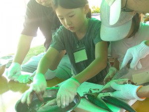 IMG_2025-09-21-11-33-50-674