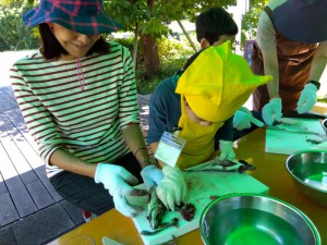 IMG_2025-09-21-11-36-11-726