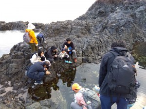 IMG_2025-11-08-15-13-26-981