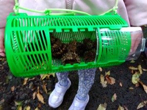 IMG_2025-11-09-09-48-02-548