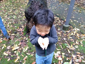 IMG_2025-11-09-09-54-13-030