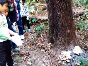 IMG_2025-11-08-14-28-09-478