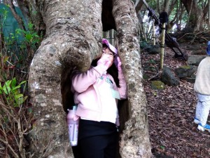 IMG_2025-11-08-14-48-11-429