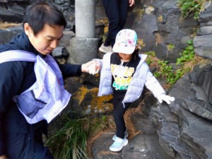 IMG_2025-11-08-15-03-19-434