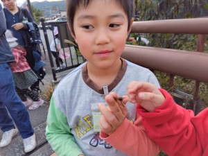 IMG_2025-11-08-15-54-34-583