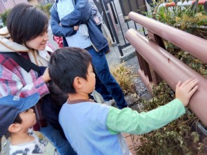 IMG_2025-11-08-15-56-22-757