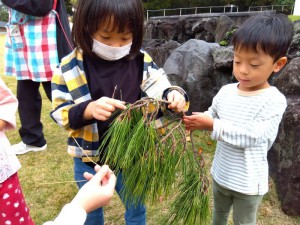 IMG_2025-11-09-12-16-58-642