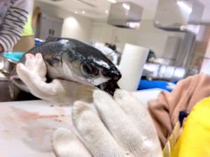 IMG_2025-09-05-07-23-29-442