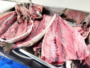 IMG_2025-09-05-07-49-06-311