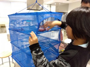 IMG_2025-09-05-08-20-51-404