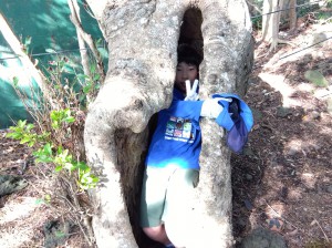 IMG_2026-03-07-15-04-15-239