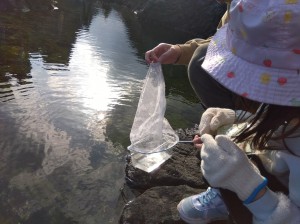 IMG_2026-03-07-15-29-13-510