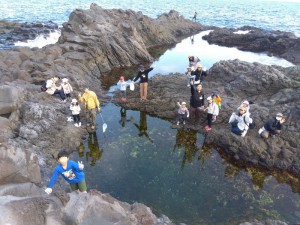 IMG_2026-03-07-15-35-42-706