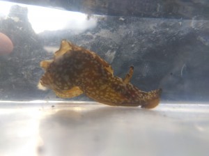 IMG_2026-03-07-15-38-21-685