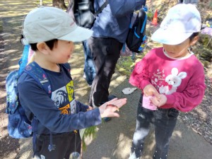 IMG_2026-03-08-09-43-40-136