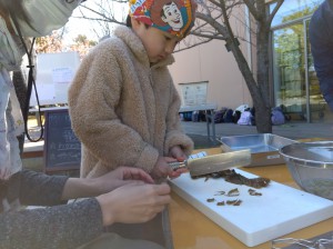 IMG_2026-03-08-11-01-41-428