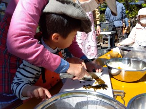 IMG_2026-03-08-11-02-45-813