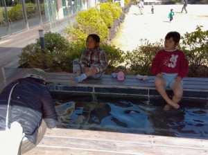 IMG_2026-03-08-13-31-02-023