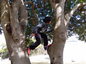 IMG_2026-03-08-13-38-31-425