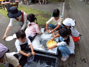 IMG_2026-05-24-13-44-06-483 (1)