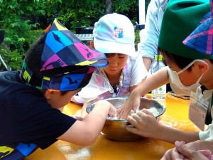 IMG_2026-06-13-15-21-35-269